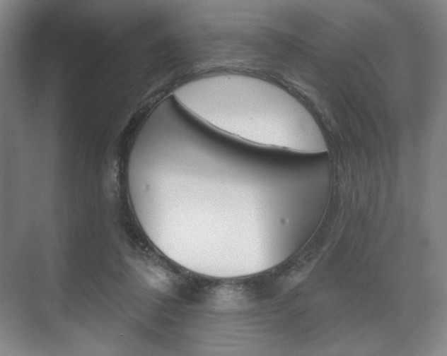 X0000075830308200609150853