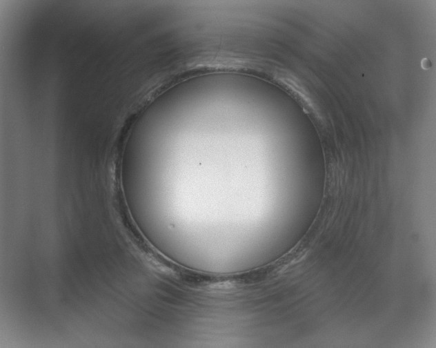 X0000075830309200609150853