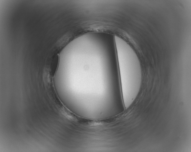 X0000075830313200609150853