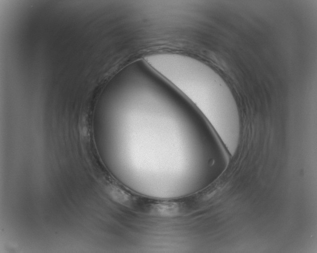 X0000075830317200609150852