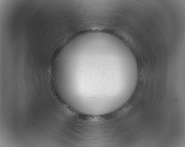 X0000075830321200609150852