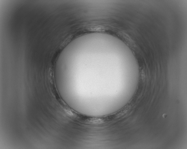 X0000075830322200609150852