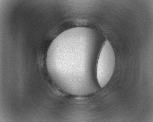 X0000075830323200609150852