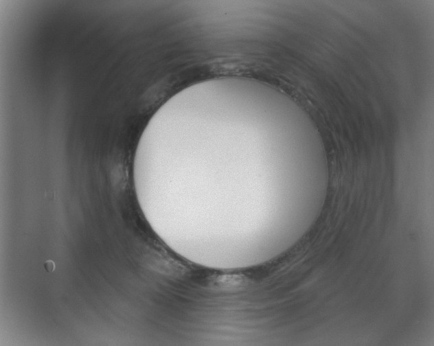 X0000075830324200609150852