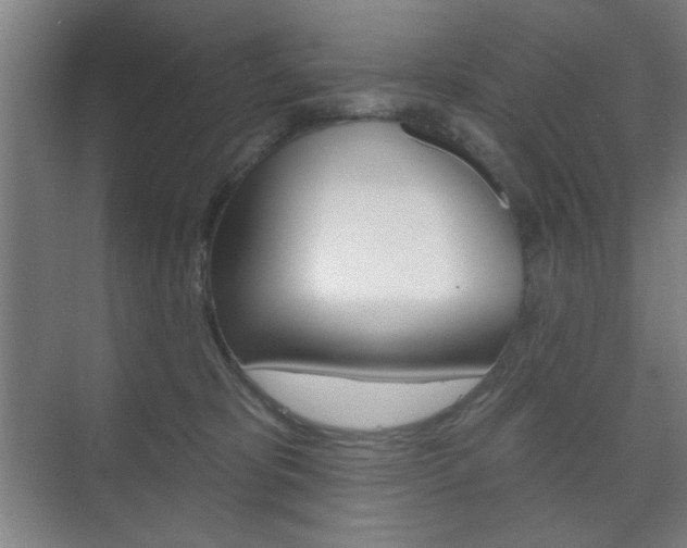 X0000075830325200609150852