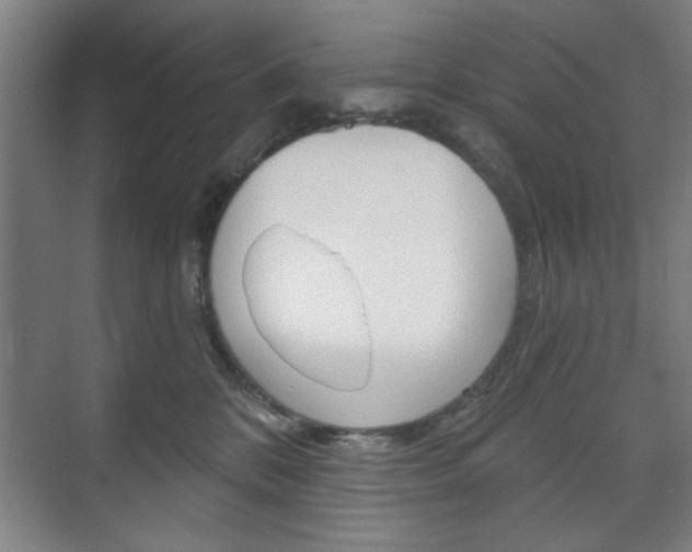 X0000075830328200609150852