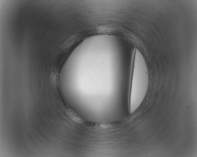 X0000075830329200609150852