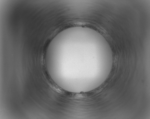 X0000075830330200609150852