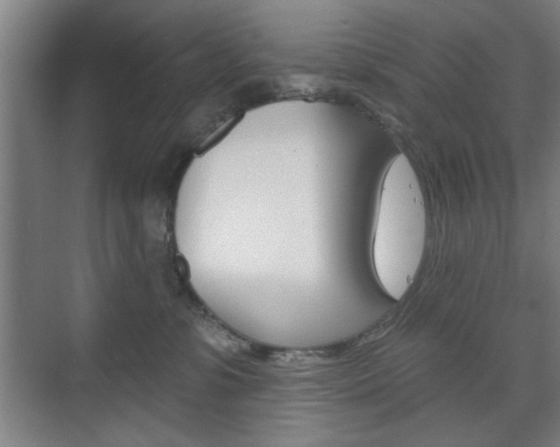 X0000075830331200609150852