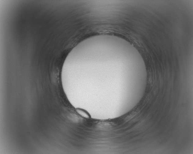 X0000075830332200609150852