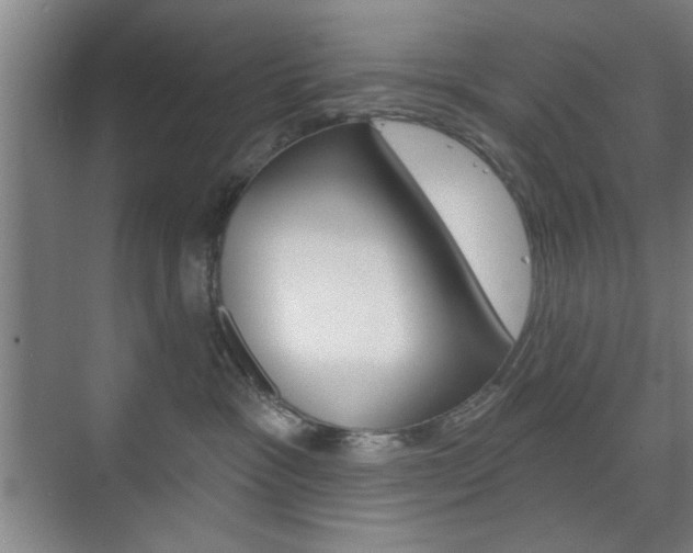 X0000075830333200609150852