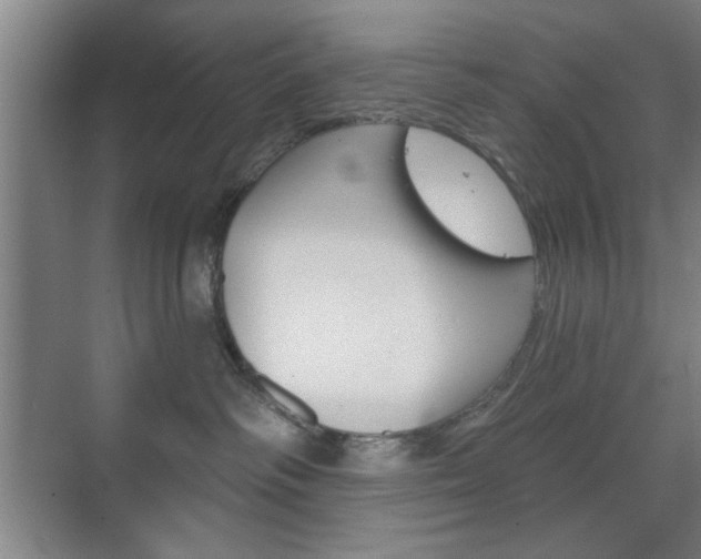 X0000075830334200609150852