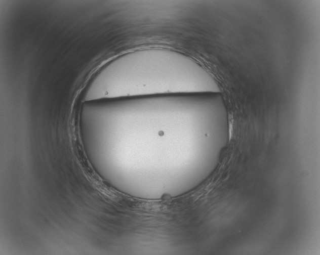 X0000075830339200609150851