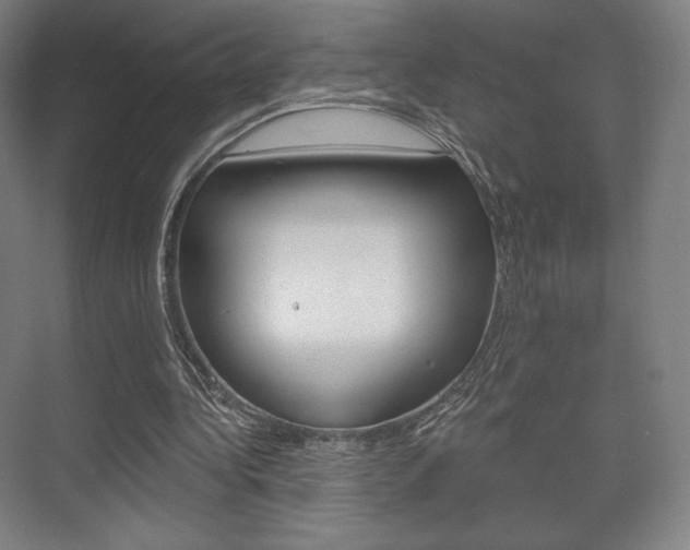 X0000075830340200609150851