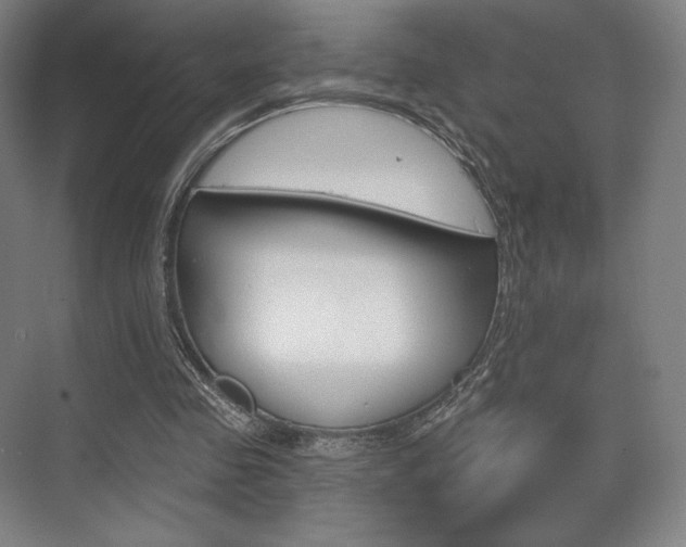 X0000075830341200609150851