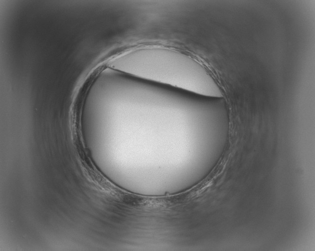 X0000075830343200609150851