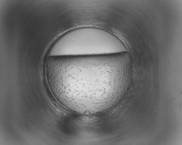 X0000075830346200609150851