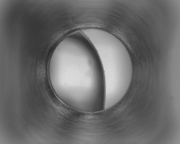 X0000075830348200609150852