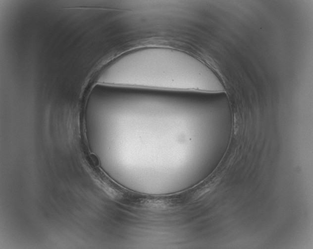 X0000075830349200609150852