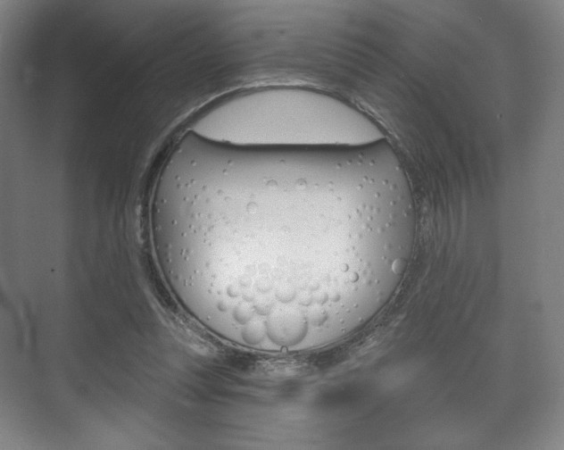 X0000075830351200609150852