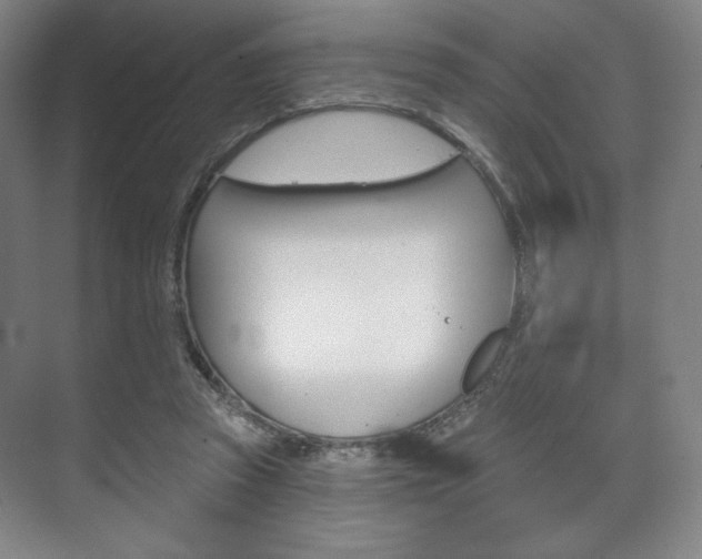 X0000075830353200609150852