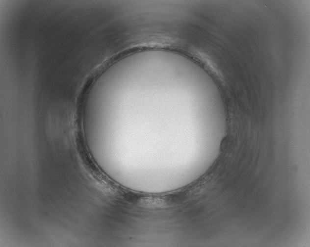 X0000075830354200609150852