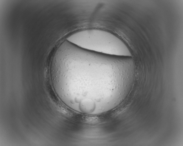 X0000075830355200609150852