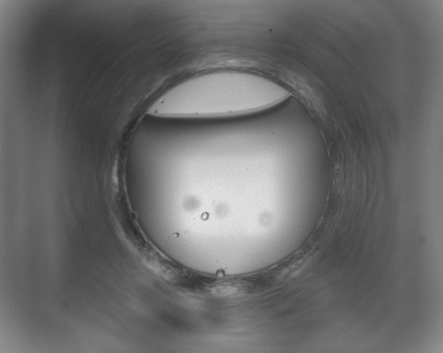 X0000075830358200609150852