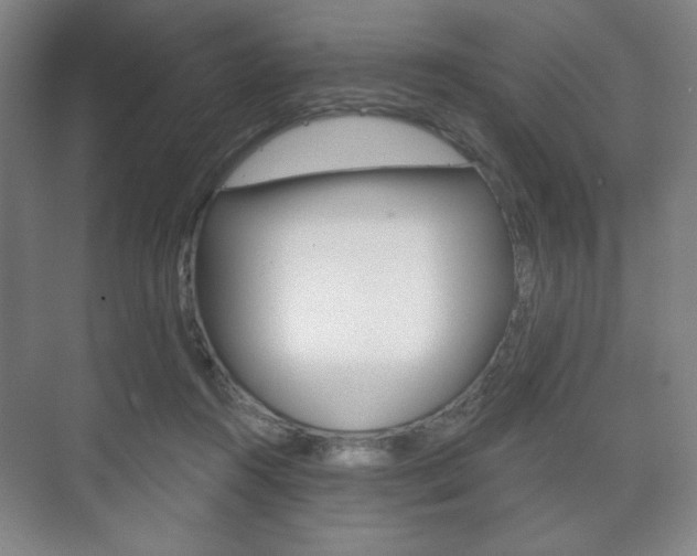 X0000075830360200609150852