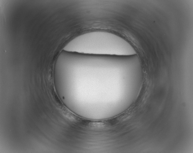 X0000075830361200609150852