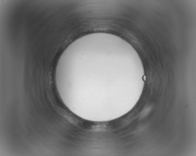 X0000075830362200609150852