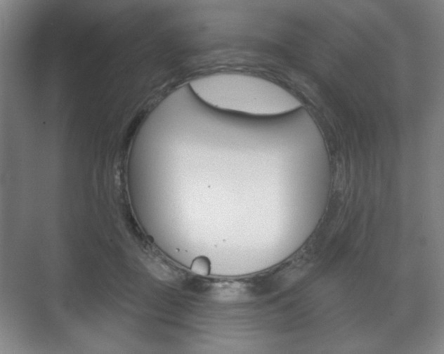 X0000075830363200609150852