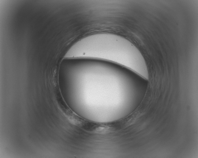 X0000075830364200609150852