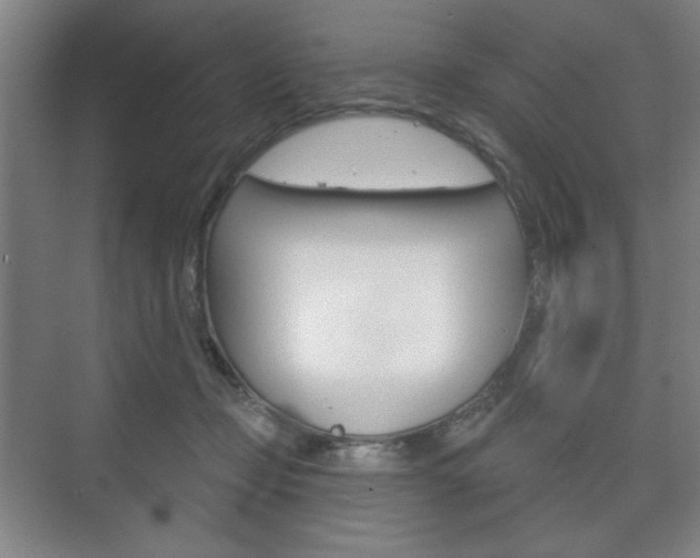 X0000075830365200609150852