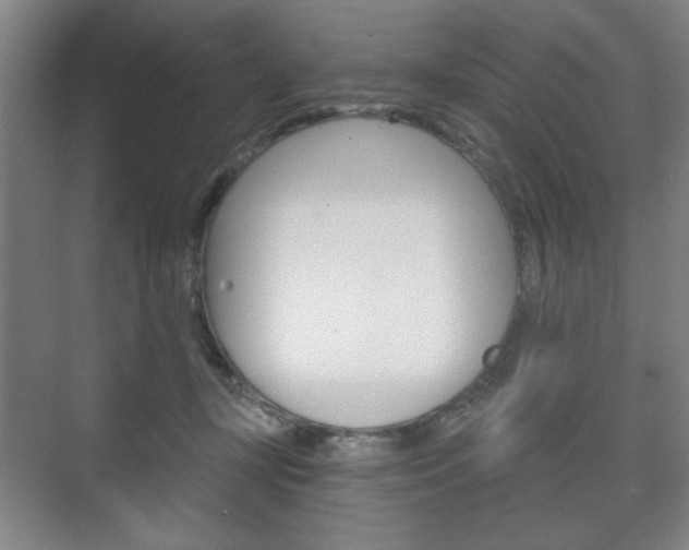 X0000075830367200609150852