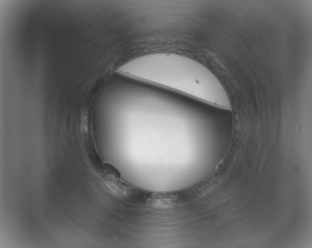 X0000075830368200609150852