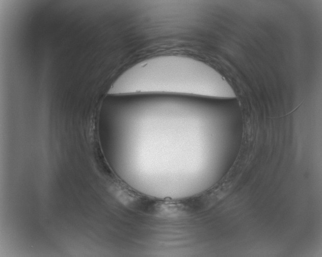 X0000075830372200609150852