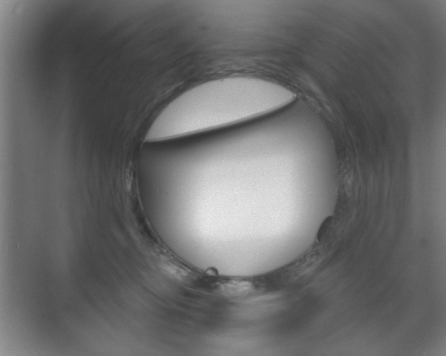 X0000075830374200609150852