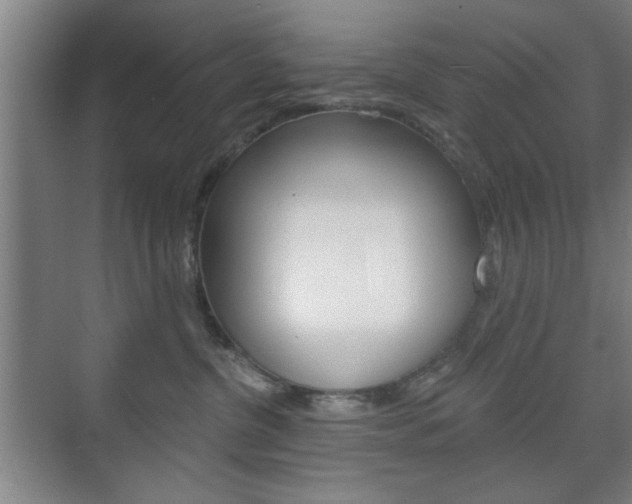 X0000075830380200609150852