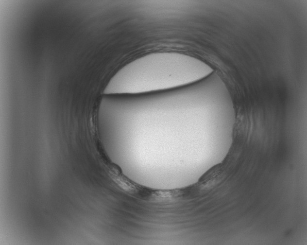 X0000075830381200609150852