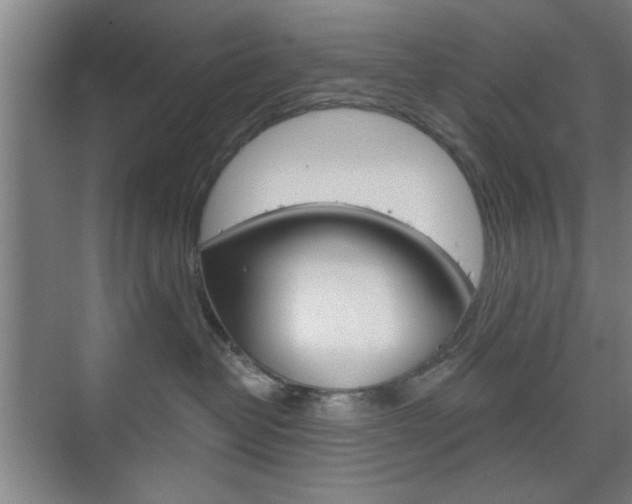 X0000075830382200609150852