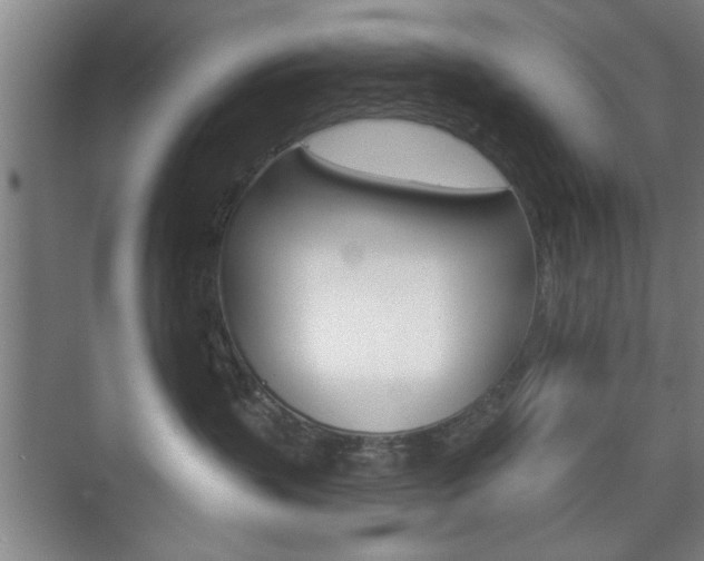 X0000075830383200609150852