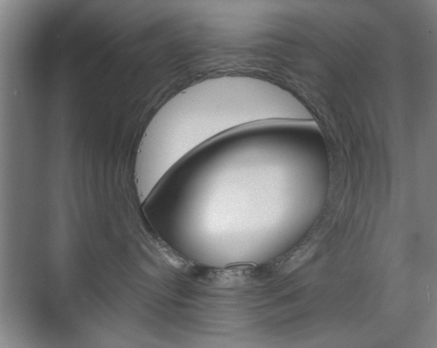 X0000075830384200609150852