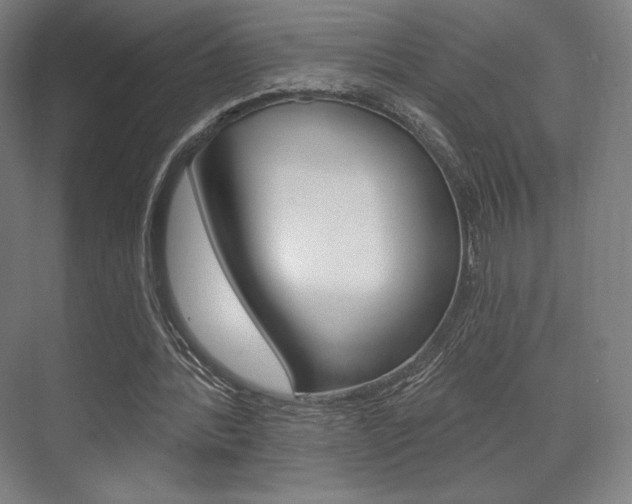 X0000075830388200609150851