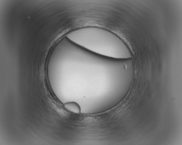 X0000075830390200609150851