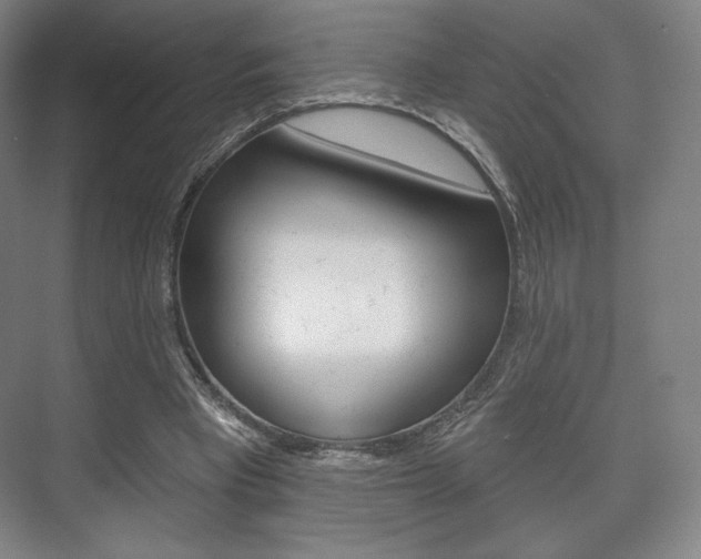 X0000075830393200609150851