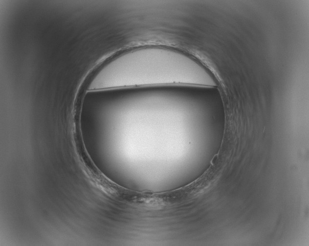 X0000075830395200609150851