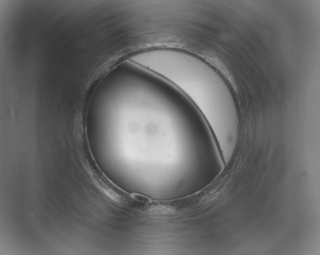 X0000075830397200609150851