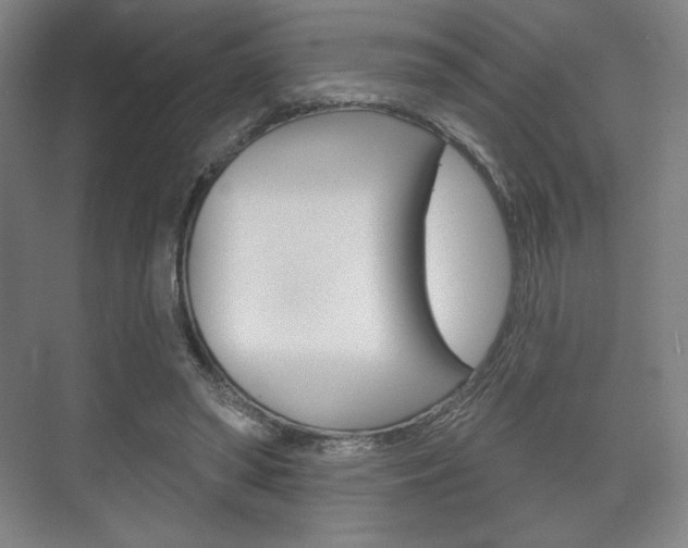 X0000075830398200609150851