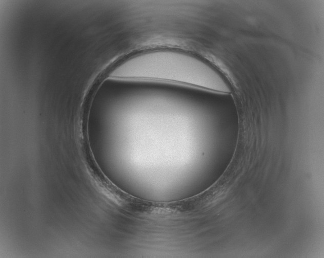 X0000075830399200609150851